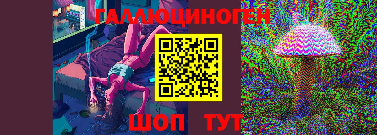 Галлюциногенные грибы GOLDEN TEACHER  Псилоцибиновые грибы Magic Shrooms  Новосибирск  Вход с VPN 