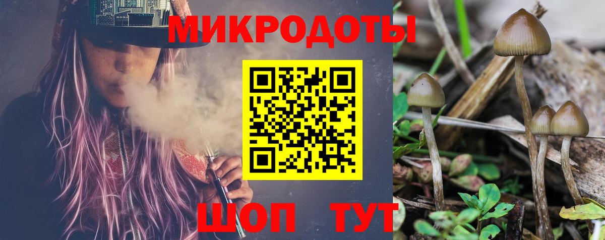 Псилоцибиновые грибы MAGIC MUSHROOMS Новосибирск