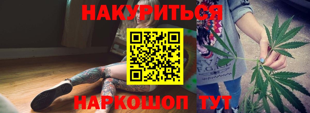 Конопля сатива Новосибирск